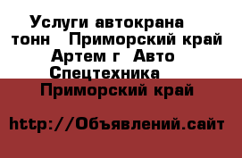 Услуги автокрана 25 тонн - Приморский край, Артем г. Авто » Спецтехника   . Приморский край